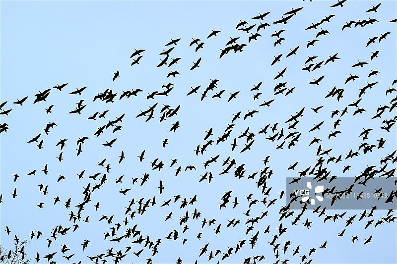 水晶泉公园的自然风光图片素材