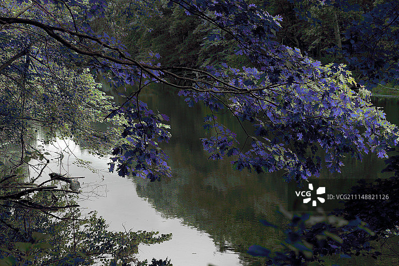 纳舒厄河GTF照片商店图片素材