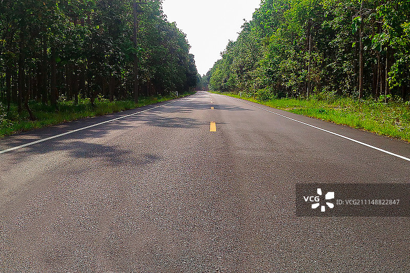 泰国森林小路图片素材