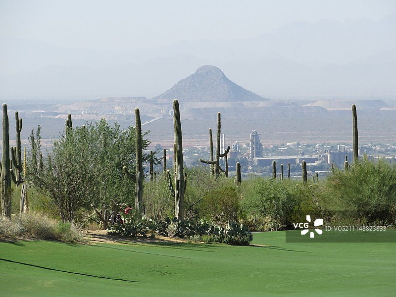 高尔夫球场上的天堂景色图片素材
