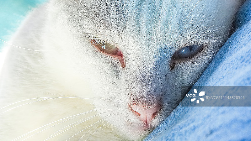 我好累图片素材