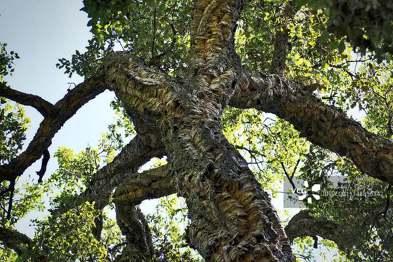 法国圣拉斐尔图片素材