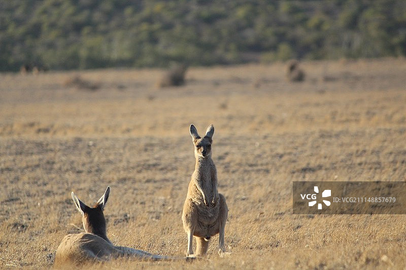 母亲和孩子图片素材