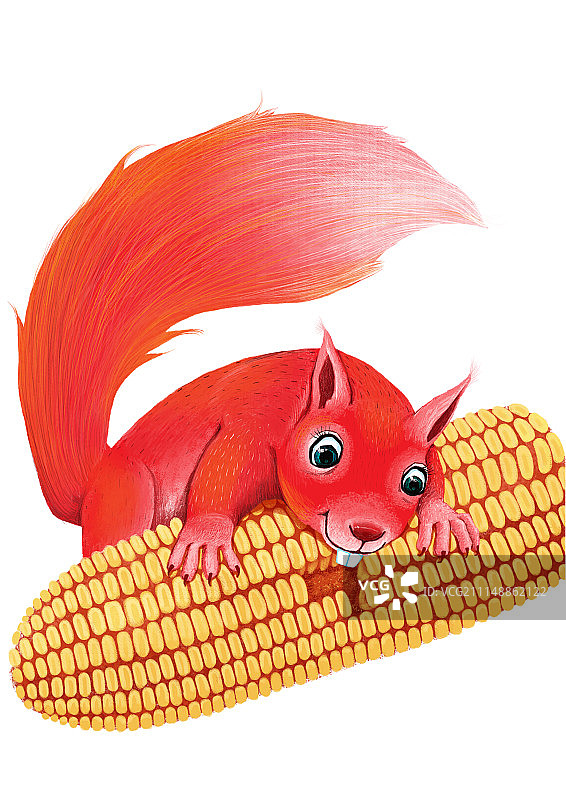 背景分离动物系列组图共3000多幅-松鼠啃玉米图片素材