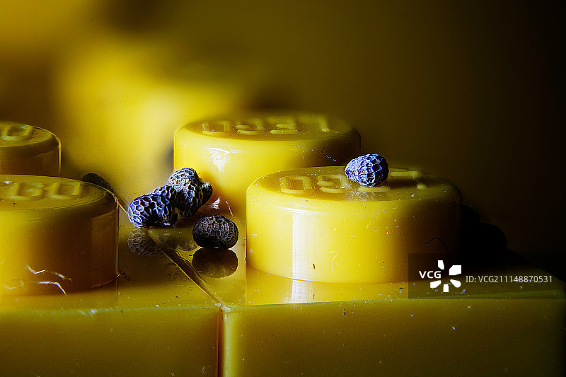 一起玩吧！图片素材