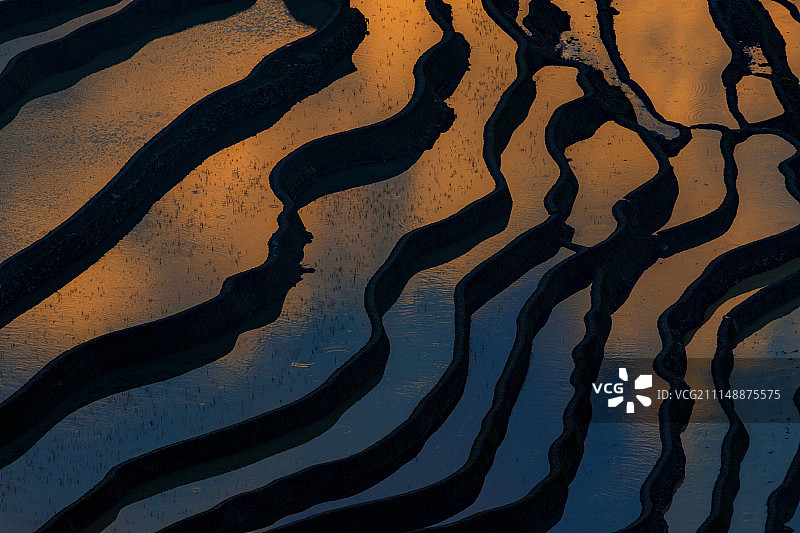 元阳梯田图片素材