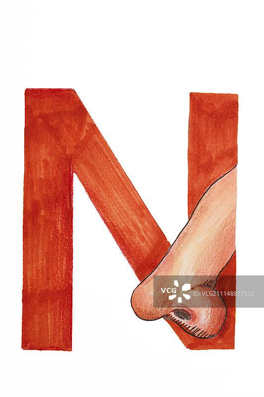 人物鼻子,英文字母N图片素材