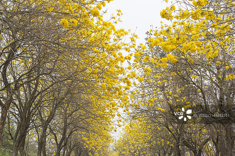 台湾嘉义县风景图片素材