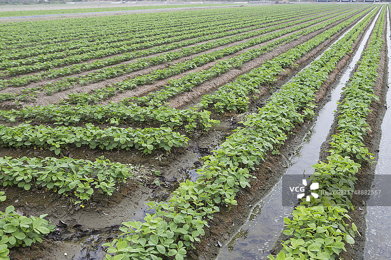 台湾嘉义县风景图片素材