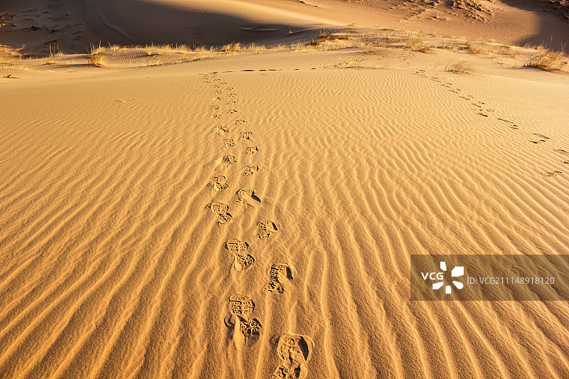 沙漠中的脚印图片素材