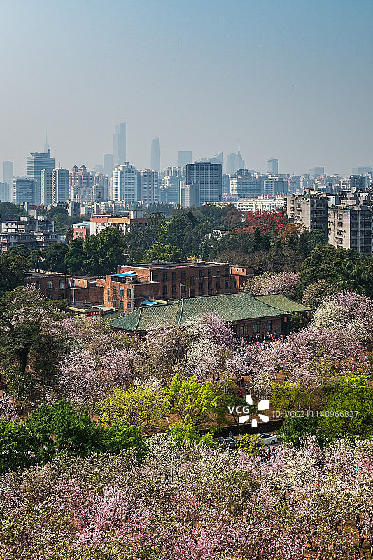 广州城市风光，华南农业大学图片素材