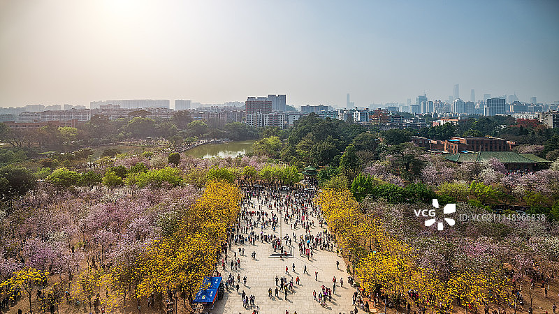 广州城市风光，华南农业大学图片素材