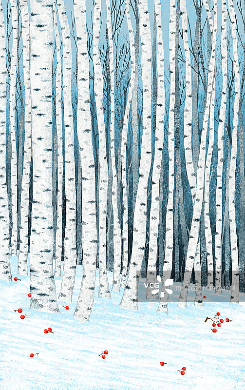 唯美背景元素组图共3000多幅-密不透风的白桦林图片素材