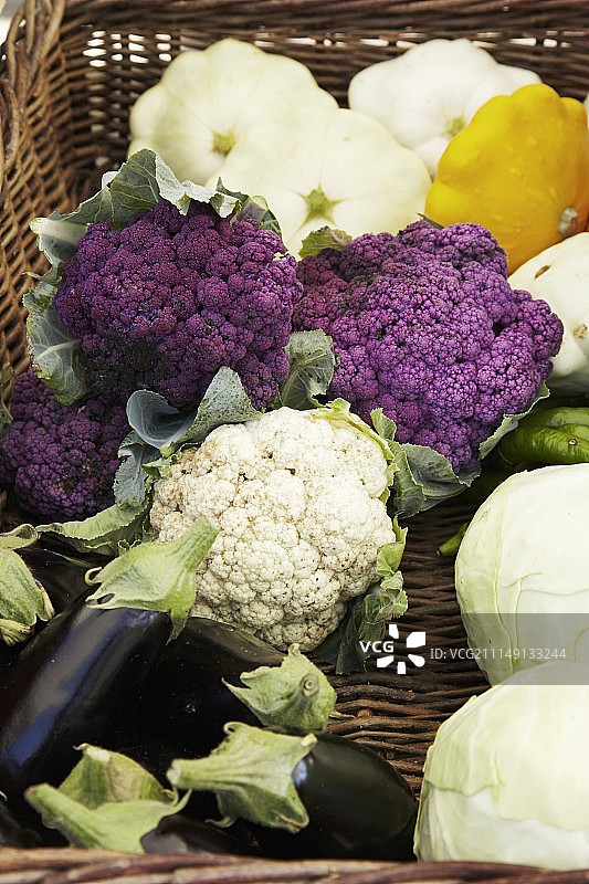 桌子，椅子和躺椅在树荫下图片素材