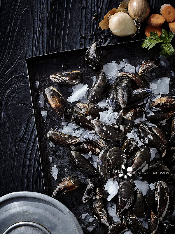 冰上的新鲜贻贝图片素材