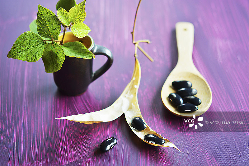 打开的豆荚里和木勺旁边的黑豆图片素材