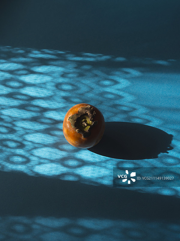 蓝色背景下的柿子静物图片素材