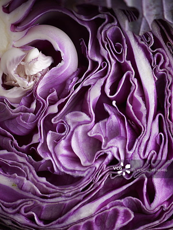 红色卷心菜（特写）图片素材