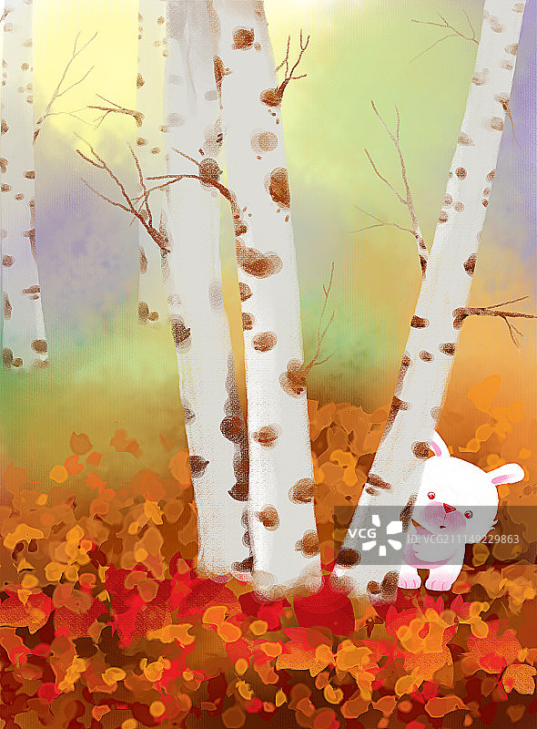 唯美背景元素组图共3000多幅-深秋落叶图片素材