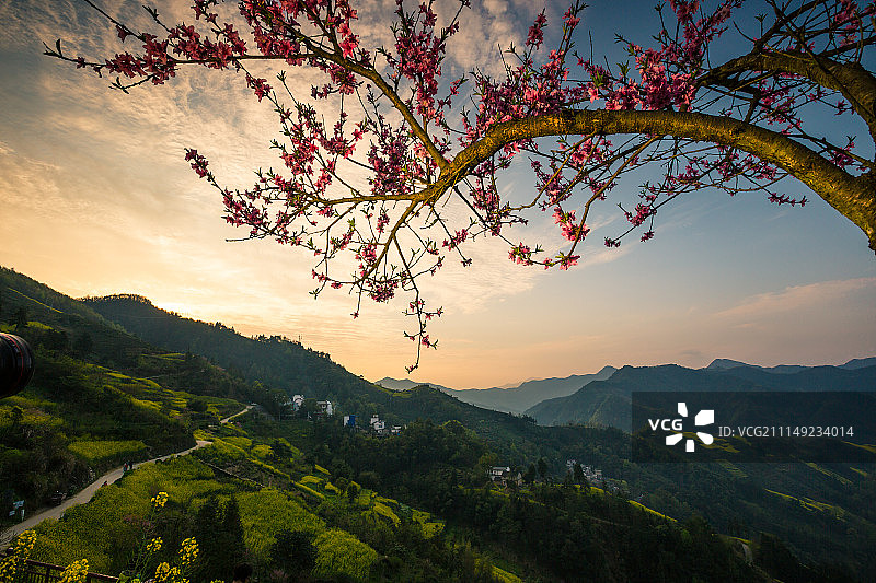 安徽石潭油菜花风光图片素材