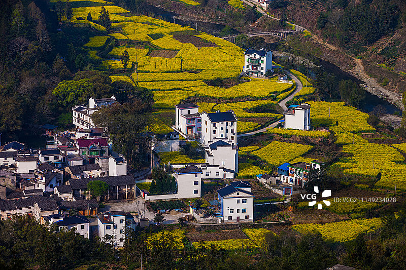 安徽石潭油菜花风光图片素材