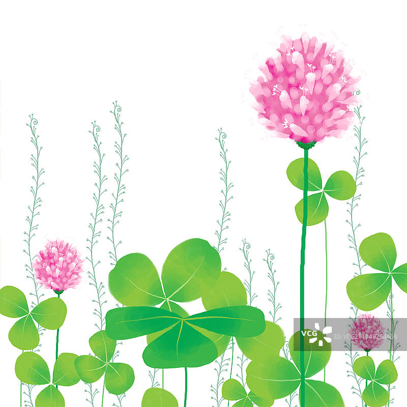唯美背景元素组图共3000多幅-三叶草花图片素材