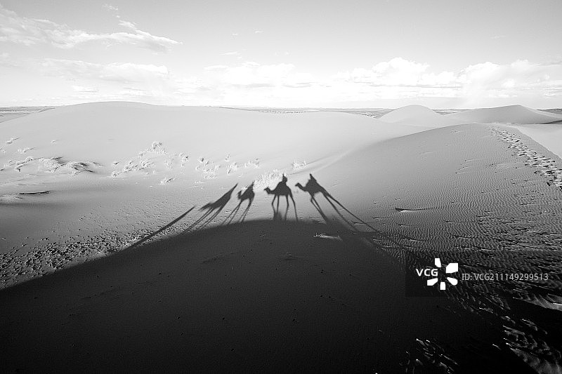 单峰骆驼的影子图片素材