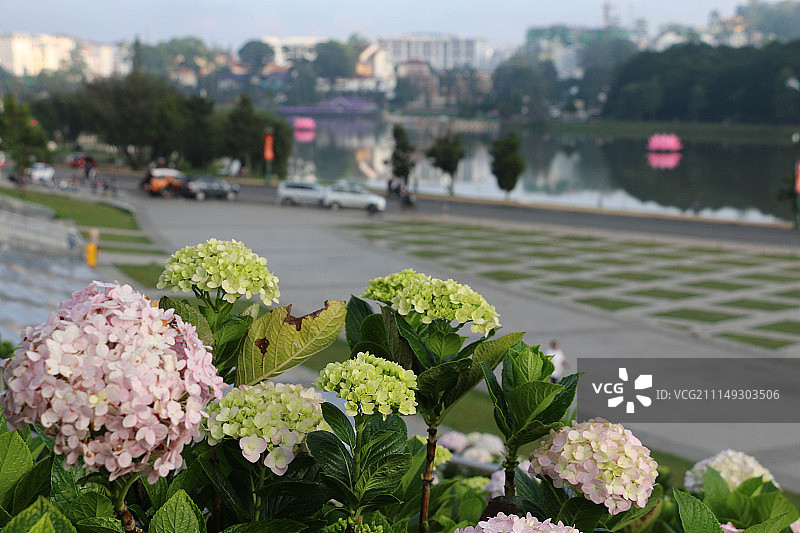 春香湖图片素材