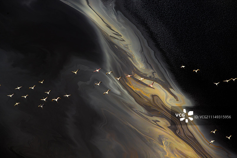 天高任我飞图片素材