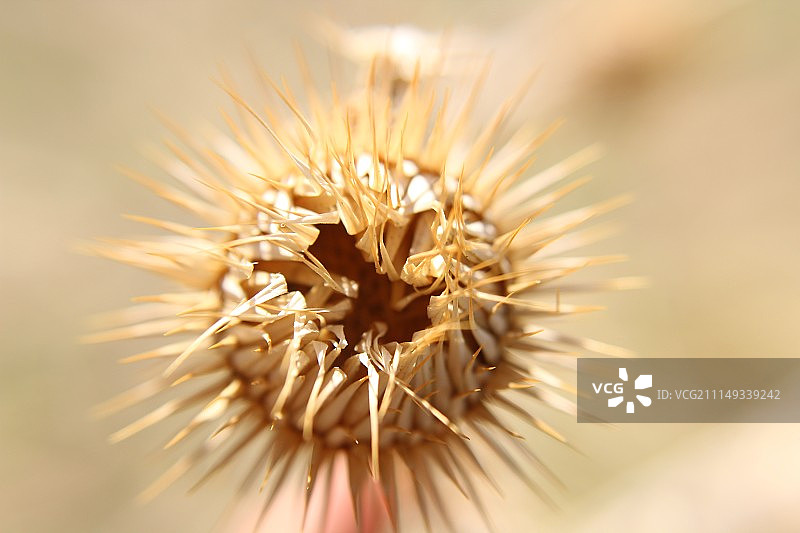 500px图片ID：239663993 -图片素材