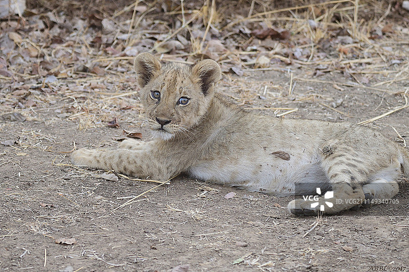 独自在家图片素材