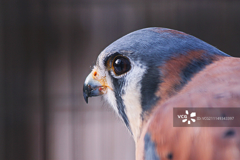 鸟瞰图图片素材