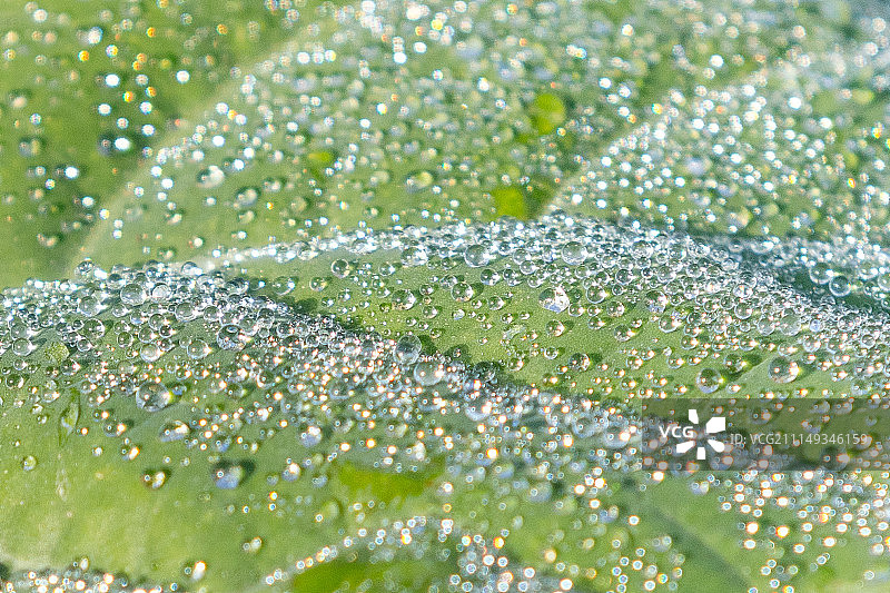 贝西格海姆图片素材
