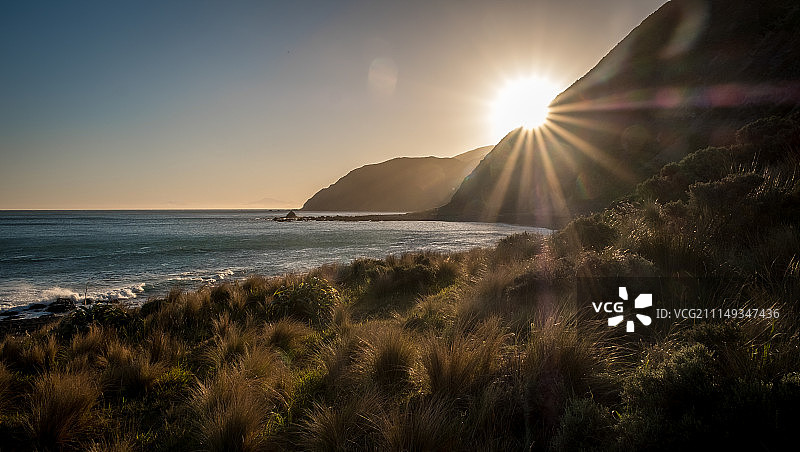 新西兰惠灵顿日落图片素材