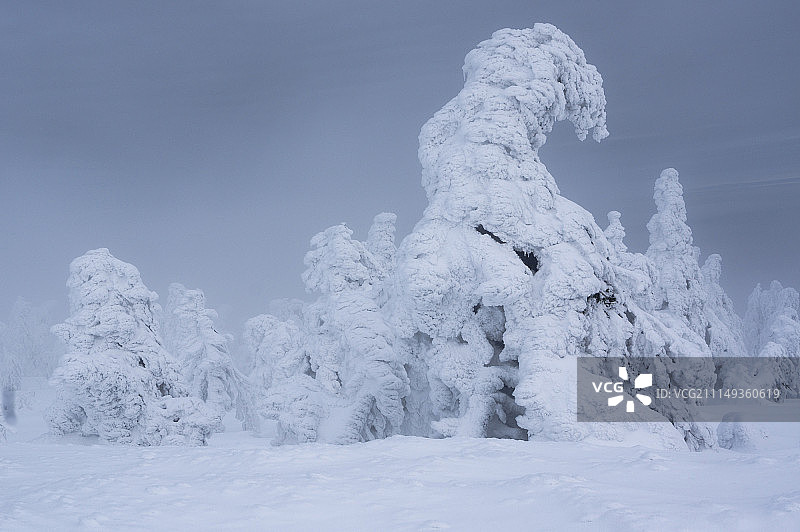 冬季仙境图片素材