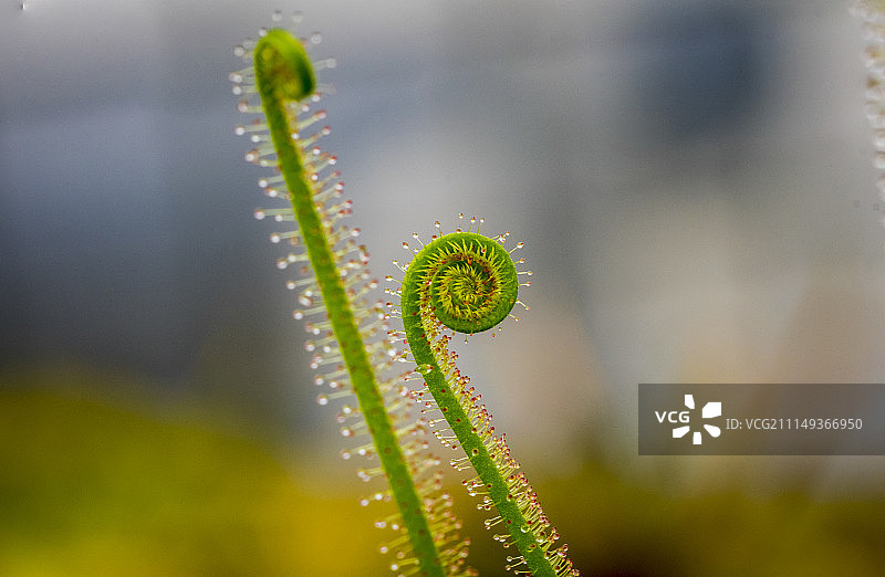 德国波鸿图片素材