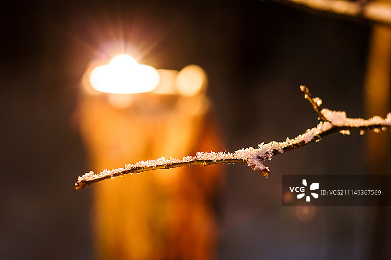 冬夜雪枝图片素材