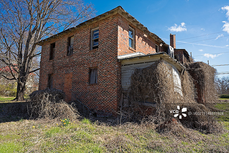 WhitsettNC DxO25图片素材