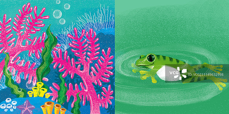 动物插画系列作品共3000幅-海底世界与游泳的青蛙图片素材