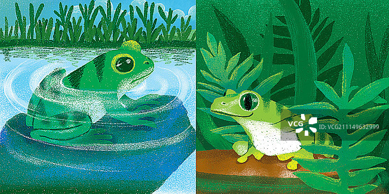 动物插画系列作品共3000幅-两只青蛙图片素材