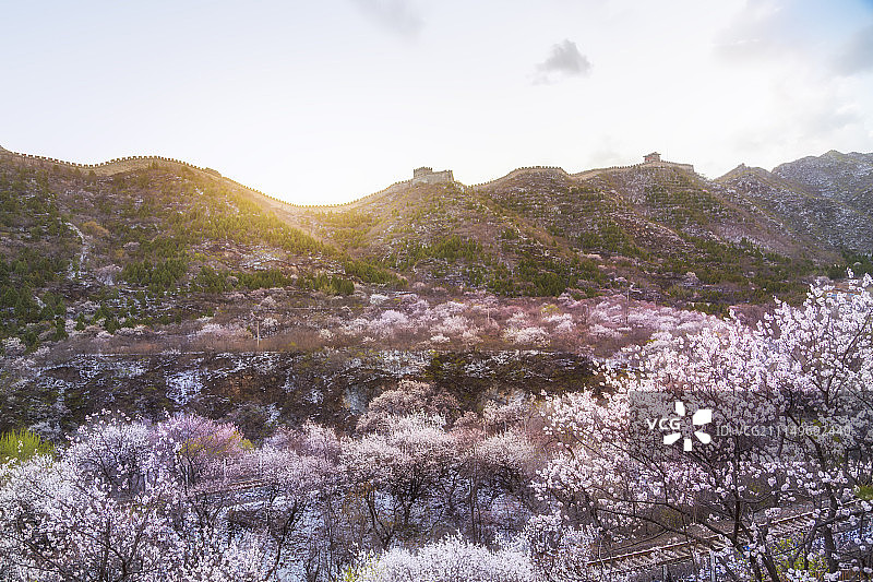 居庸关长城花海图片素材