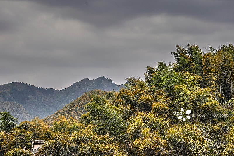 安徽黄山宏村西递歙县油菜花图片素材