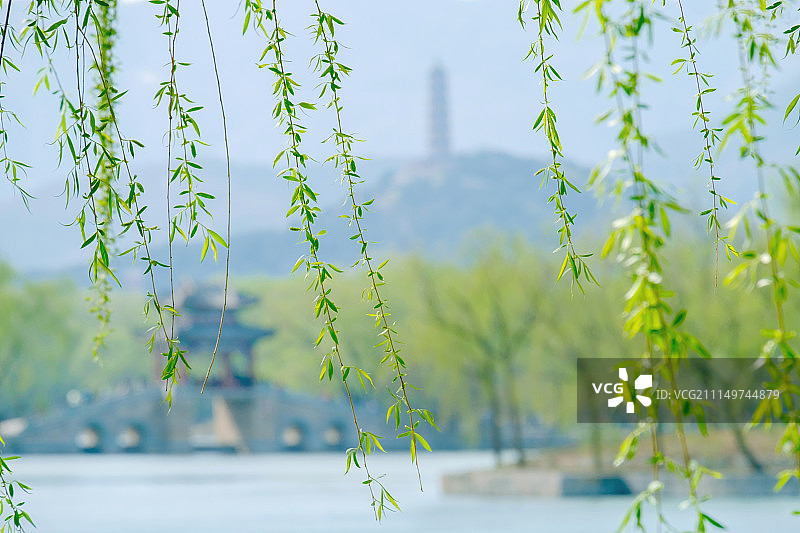 颐和园春色图片素材