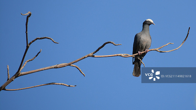 裁剪比例图片素材