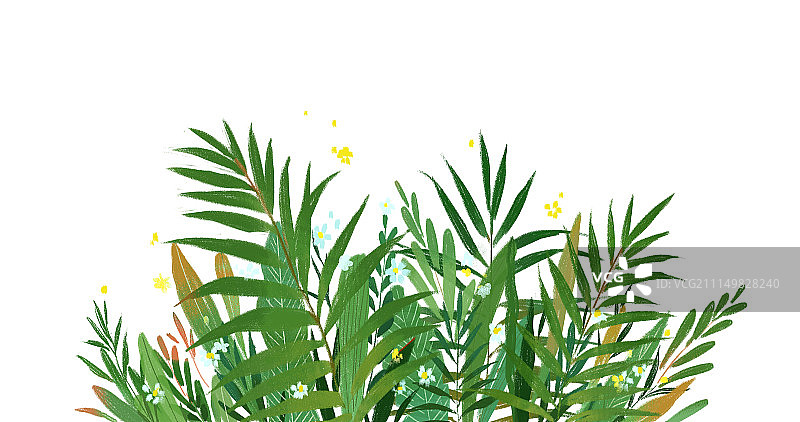 植物背景图片素材