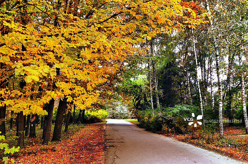 照片作者：尼古拉耶夫·米哈伊连科图片素材