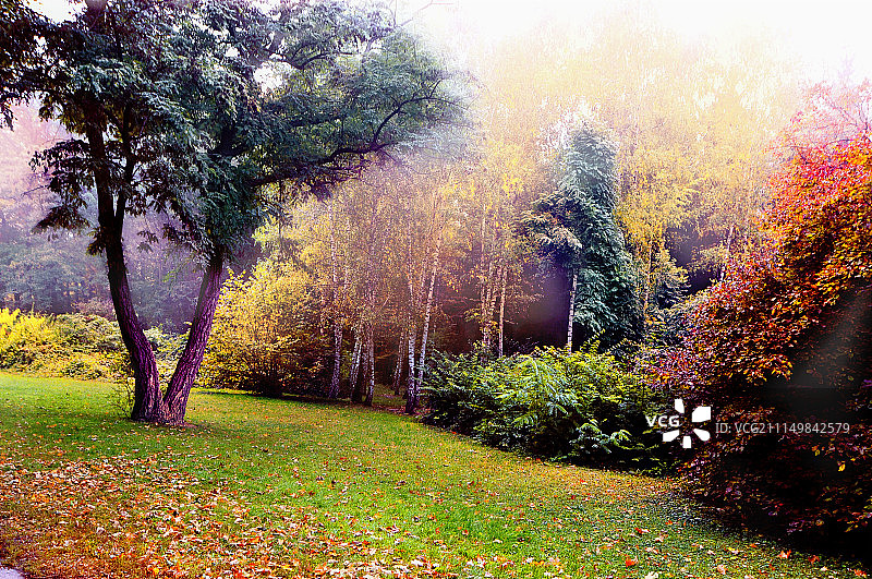 照片作者：尼古拉耶夫·米哈伊连科图片素材