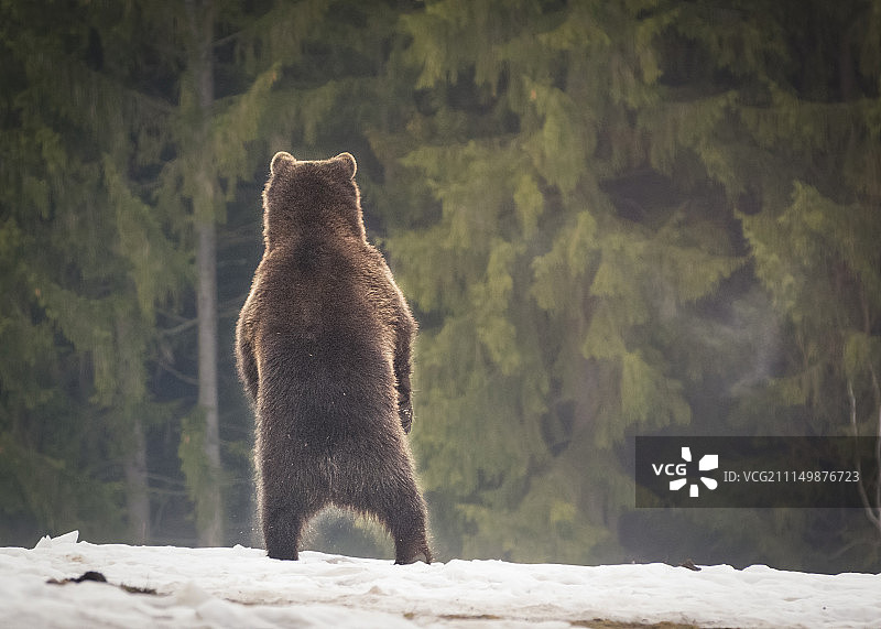 我不和你说话图片素材