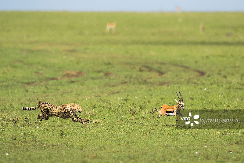 跃在空中的腿图片素材