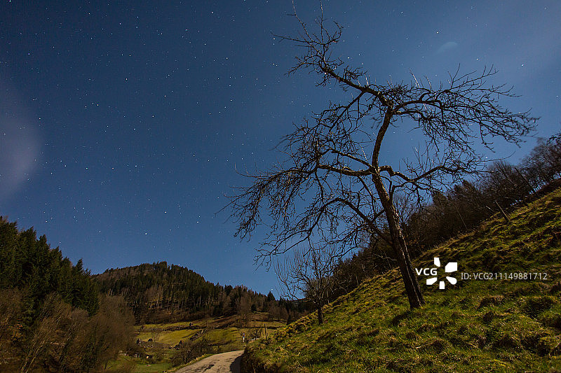 黑森林之夜图片素材